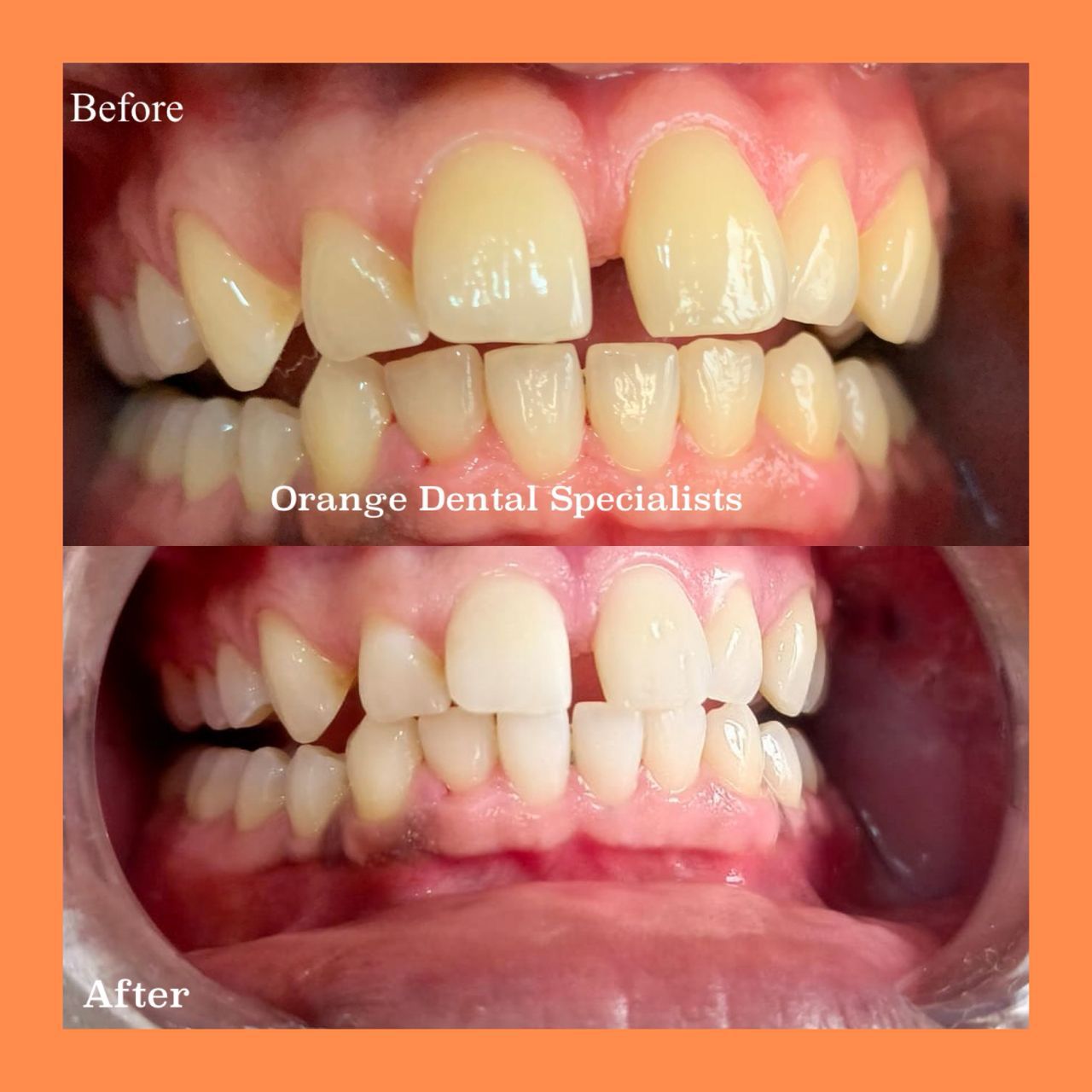 WhatsApp Image 2025-11-07 at 12.35.57 PM